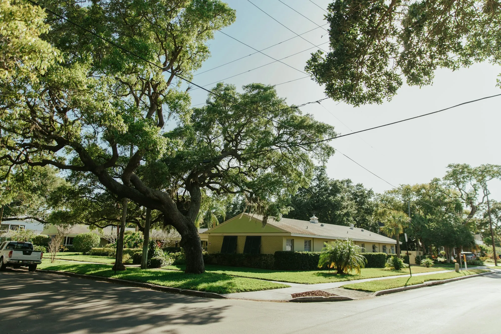 A single-storey house with trees and a lawn